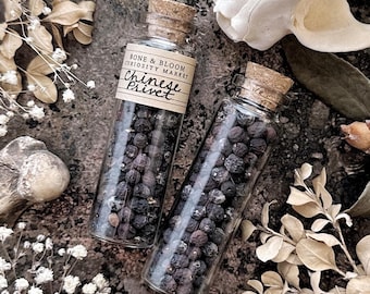 Dried Chinese Privet Berries in Glass Vial, Dried Botanicals, Natural History, Floral Decor, Curiosity, Apothecary, Altar Decor