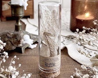 Real Snake Mask in Glass Vial – No. 01, Real Snake Shed, Snake Decor, Natural History, Curiosity, Oddity, Altar Decor, Unique Gift