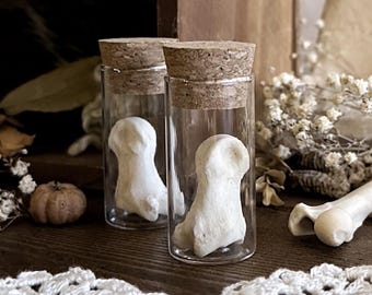 One Real Deer Knuckle Bone in Glass Vial – No. 02, Real Deer Bones, Deer Decor, Natural History, Curiosity, Oddity, Altar Decor