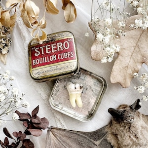 Real Human Tooth in Vintage Metal Tin – No. 15, Human Teeth, Natural History, Curiosity, Oddity, Altar Decor, Unique Gift Idea