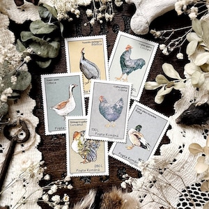 Vintage Bird Stamps – No. 25, Romania 1995, Natural History, Animal Stamps, Wildlife Stamps, Paper Ephemera, Curiosity, Oddity