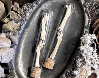 Real Rustic Rat Femur Bones in Glass Vial – No. 01, Rat Decor, Rat Gift, Natural History, Curiosity, Oddity, Altar Decor, Unique Gift Idea