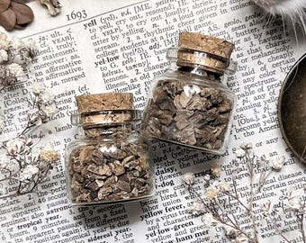 Dried Devil’s Claw Root in Glass Vial, Dried Herbs, Dried Botanicals, Natural History, Curiosity, Apothecary, Altar Decor