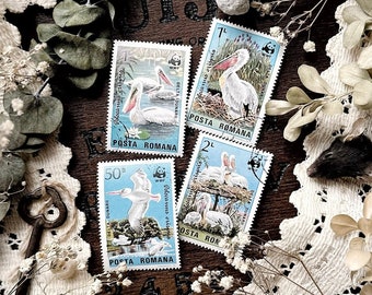 Vintage Pelican Stamps – No. 24, Romania 1984, Natural History, Bird Stamps, Animal Stamps, Wildlife Stamps, Paper Ephemera, Curiosity