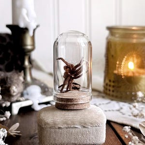 May include: A brown spider specimen preserved inside a clear glass dome with a cork base, resting atop a small, rectangular, beige velvet-covered stool with four short, dark-colored legs.