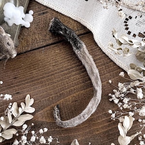 Real Mummified Opossum Tail – No. 05, Opossum Decor, Opossum Gift, Natural History, Curiosity, Oddity, Apothecary, Altar Decor, Unique Gift