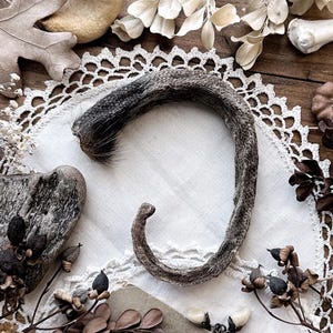 Real Mummified Opossum Tail – No. 03, Opossum Decor, Opossum Gift, Natural History, Curiosity, Oddity, Apothecary, Altar Decor, Unique Gift