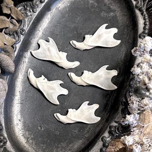 One Imperfect Rat Jawbone – No. 03, Rat Decor, Rat Gift, Mouse Decor, Natural History, Curiosity, Oddity, Altar Decor, Unique Gift Idea
