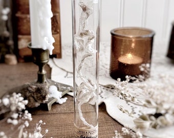 Full Baby Snake Skin Shed in Glass Dome – No. 02, Real Snake Shed, Snake Decor, Natural History, Curiosity, Oddity, Altar Decor, Unique Gift