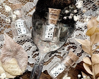 Teeny Tiny Pair of Dice in Glass Vial, Game Dice, Gaming Dice, Miniature Dice, Curiosity, Oddity, Altar Decor, Unique Gift Idea