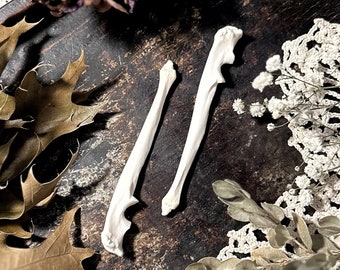 One Real Woodchuck Ulna Bone, Woodchuck Bones, Animal Bones, Natural History, Curiosity, Oddity, Real Bones, Altar Decor, Unique Gift Idea