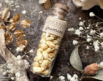 Dried Jasmine Flowers in Glass Vial, Dried Flowers, Dried Botanicals, Natural History, Curiosity, Apothecary, Altar Decor, Unique Gift Idea