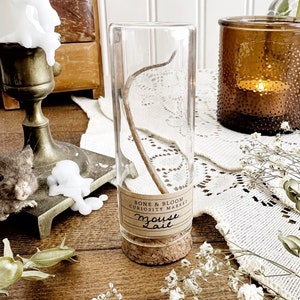 Real Mouse Tail in Glass Vial – No. 05, Natural History, Curiosity, Oddity, Altar Decor, Apothecary, Altar Decor, Unique Gift Idea