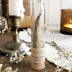 My Granminnie's Hair in Glass Vial – No. 01, Human Hair Curio, Natural History, Curiosity, Oddity, Altar Decor, Apothecary, Unique Gift Idea