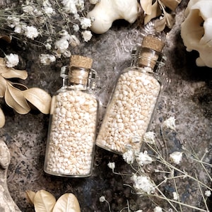 Hand Sorted Star Sand in Glass Vial, Real Sand from Okinawa Japan, Ocean, Beach Decor, Natural History, Apothecary, Altar Decor, Unique Gift
