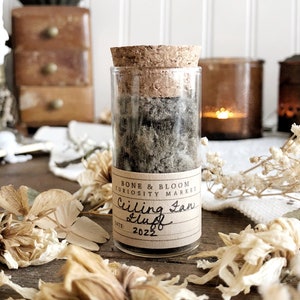 Real Ceiling Fan Fluff in Glass Vial – No. 01, Natural History, Curiosity, Oddity, Altar Decor, Weird Gift, Strange Gift, Unique Gift Idea