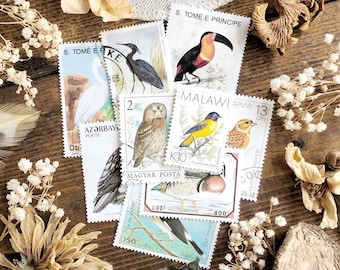 Mystery Collection Vintage Bird Stamps – No. 01, Natural History, Vintage Stamps, Animal Stamps, Paper Ephemera, Curiosity, Unique Gift Idea