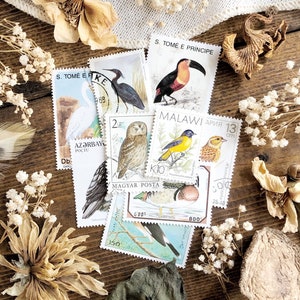 Mystery Collection Vintage Bird Stamps – No. 01, Natural History, Vintage Stamps, Animal Stamps, Paper Ephemera, Curiosity, Unique Gift Idea