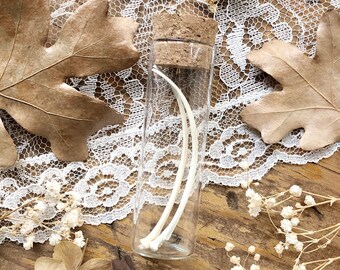 Real Ball Python Snake Rib Bones in Glass Vial – No. 01, Snake Bones, Curiosity, Oddity, Reptile Bones, Apothecary, Unique Gift Idea