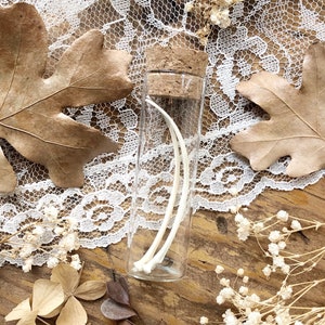 May include: A glass vial with a cork stopper containing two white bones. The vial is on a white lace background with dried flowers.
