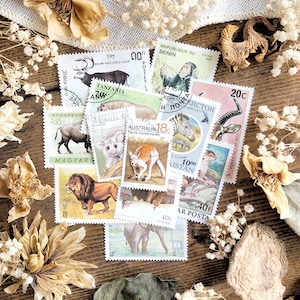Mystery Collection Vintage Animal Stamps – No. 01, Natural History, Fauna Stamps, Wildlife Stamps, Paper Ephemera, Curiosity, Gift Idea