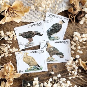 Vintage Bird Stamps – No. 13, 1994, Natural History, Vintage Falcon Stamps, Animal Stamps, Paper Ephemera, Curiosity, Oddity