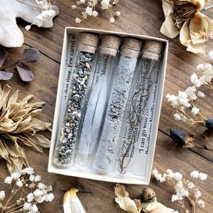 Homeschool Box Curiosity Box Claws Oddity Collection Insects Teeth Unique Gift Idea Natural History Mystery Box Bones Science Box Homeschool Box Curiosity Box Claws Oddity Collection Insects Teeth Unique Gift Idea Natural History Mystery Box Bones Science Box