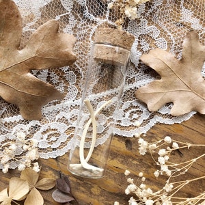 Real Muskrat Rib Bones in Glass Vial, Muskrat Bones, Curiosity, Oddity, Real Animal Bones, Apothecary, Specimen, Altar, Unique Gift Idea