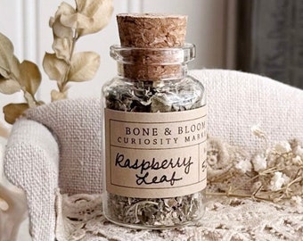 Dried Raspberry Leaf in Glass Vial – No. 52, Dried Herbs, Dried Botanicals, Natural History, Curiosity, Apothecary, Altar Decor