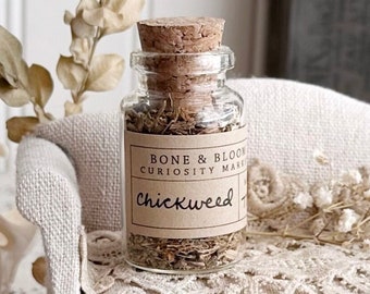 Dried Chickweed in Glass Vial – No. 77, Dried Herbs, Dried Botanicals, Natural History, Curiosity, Apothecary, Altar Decor