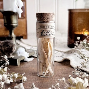 Real Fish Bones in Glass Vial – No. 02, Natural History, Ocean Decor, Beach Decor, Curiosity, Oddity, Altar Decor, Unique Gift Idea
