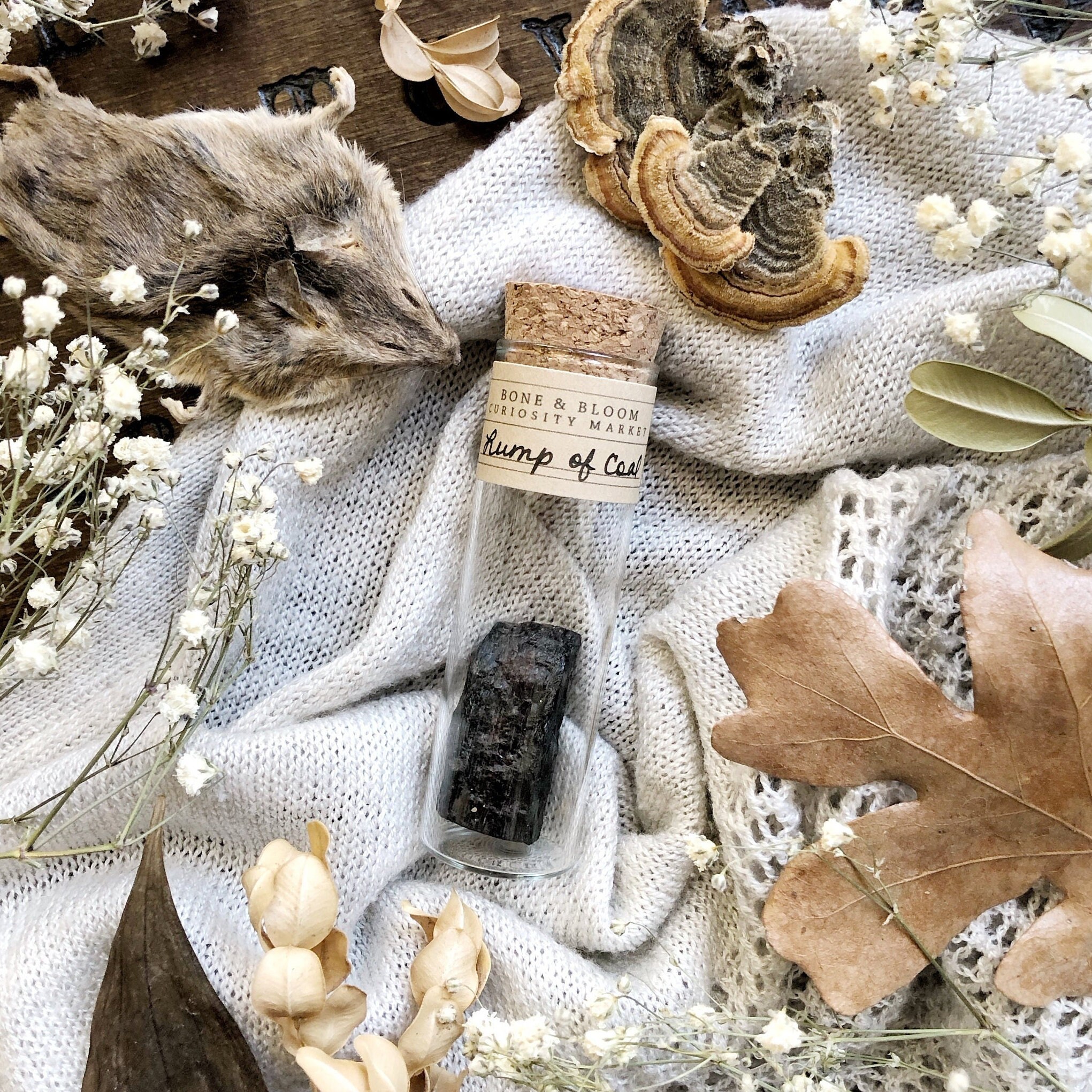 Real Lump of Coal in Glass Vial – No. 05, Christmas Gift, Naughty Gift, Natural History, Curiosity, Oddity, Altar Decor, Unique Gift Idea