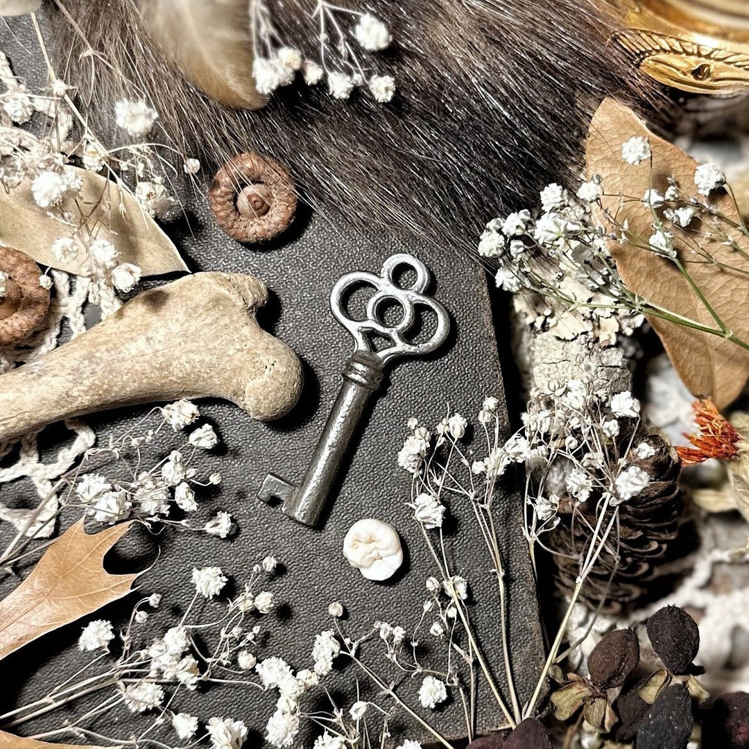 Vintage Skeleton Key No. 33, Antique Skeleton Key, Antique Keys, Curio