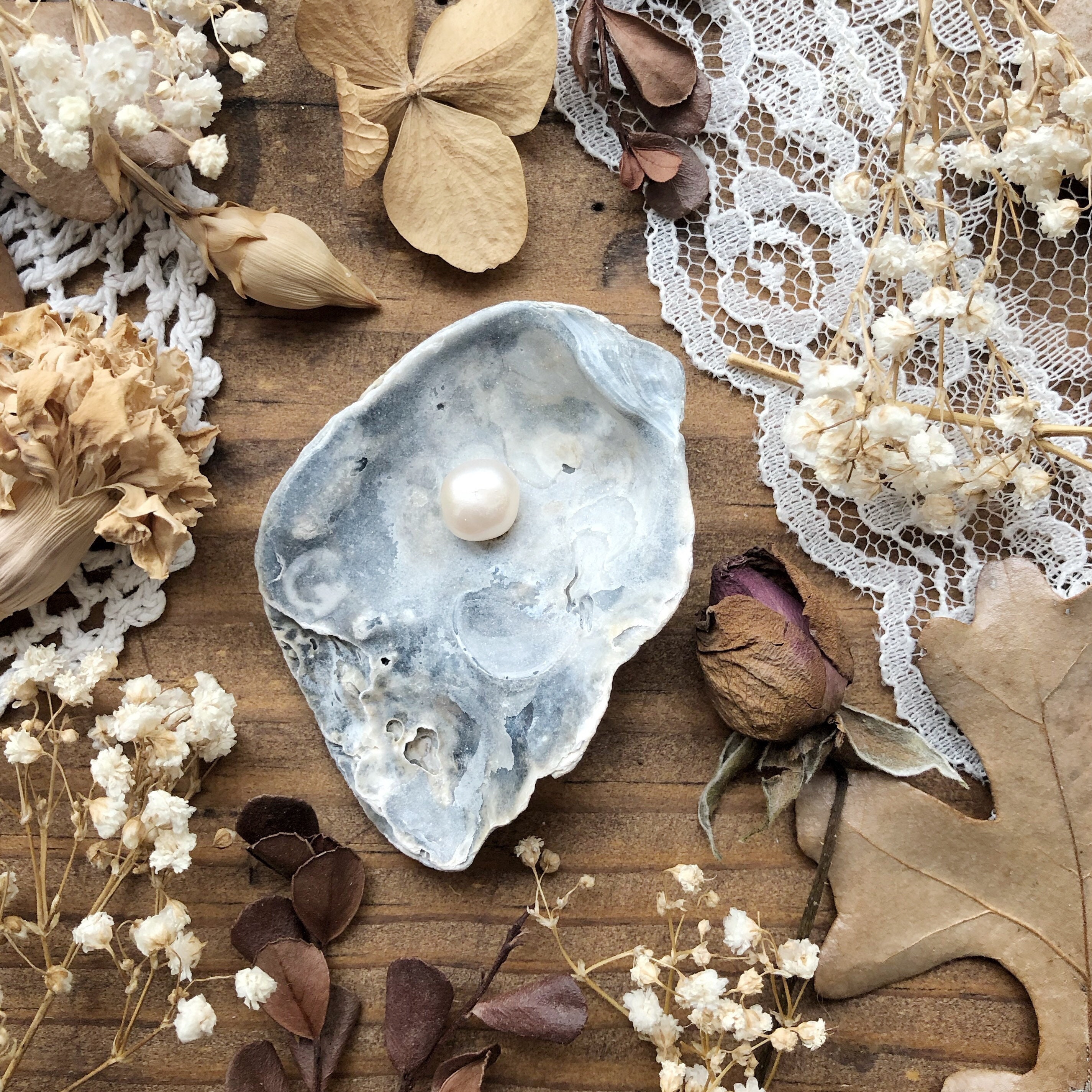 Oyster Shell Real Pearls 
