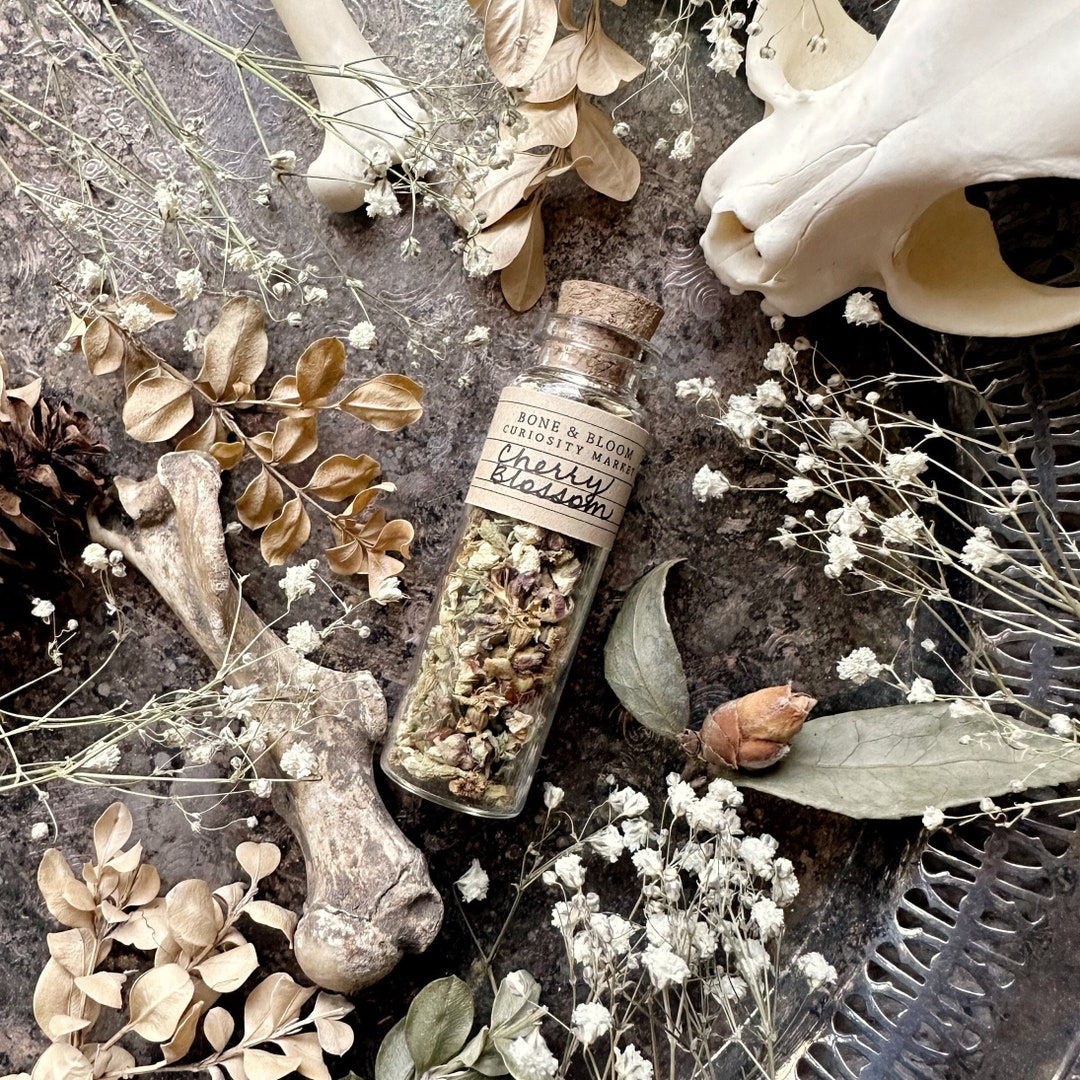Dried Cherry Blossoms in Glass Vial, Dried Flowers, Dried Botanicals
