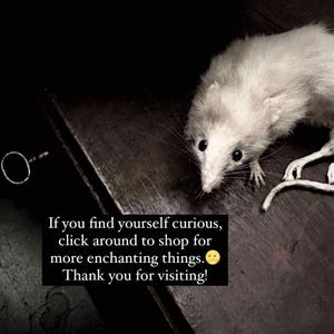 May include: A white rat with dark eyes and whiskers peers down from a dark wooden surface. The image includes the text: "If you find yourself curious, click around to shop for more enchanting things. Thank you for visiting!"