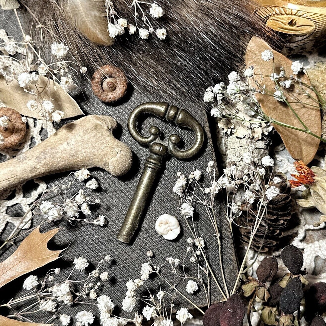 Vintage Skeleton Key No. 28, Antique Skeleton Key, Antique Keys, Curio