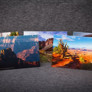PRIMO SET: 10 confezioni da 5x7 Scenic Notecard con buste