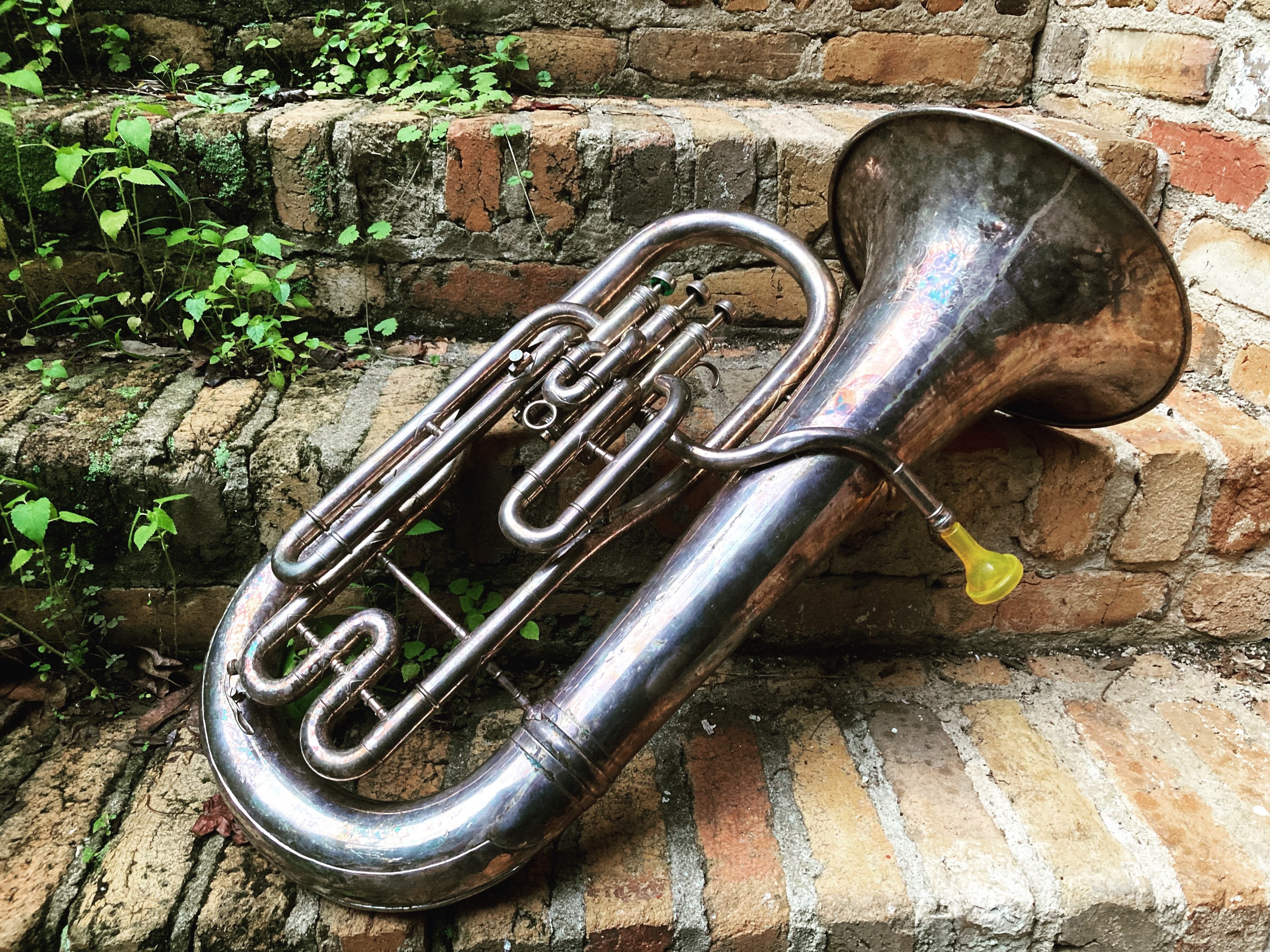 Antique tuba deals