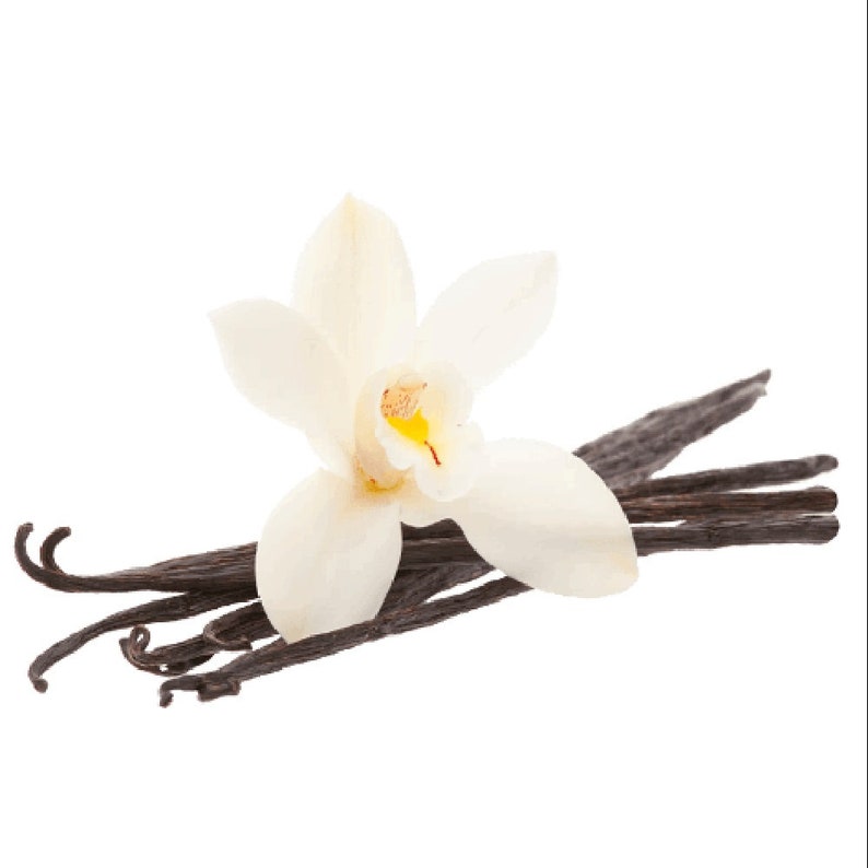 Картинка ваниль без фона