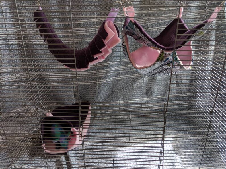 Three Piece Cage Set Sugar Glider Rat Image 0
