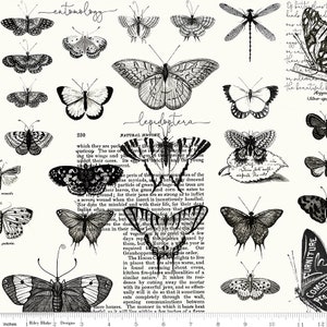 Art Journal Butterflies - sold by the half yard- Black and White Butterflies -  J. Wecker Frisch for Riley Blake Designs - 13035 White