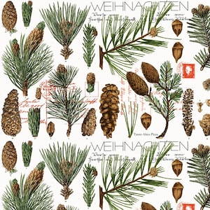 Classic Christmas  - Botanical Pines White  - J. Wecker Frisch - Riley Blake Designs - C16283- 23&quot; x 44&quot;