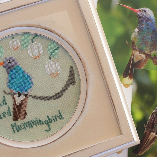 Lindy Stitches - Bird Crush  Club Series Broad Billed Hummingbird - Cross Stitch Pattern