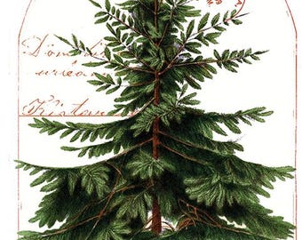 Classic Christmas  - Tree Panel  - J. Wecker Frisch - Riley Blake Designs - C16280- 24" x 43"