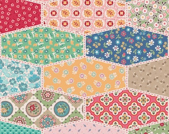 May include: A patchwork quilt with a hexagonal pattern featuring various floral and geometric designs in shades of pink, red, blue, green, yellow, and brown.