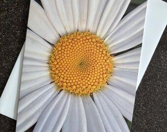 Bunch of Daisies (1 Blank Note Card With White Envelope) - Etsy