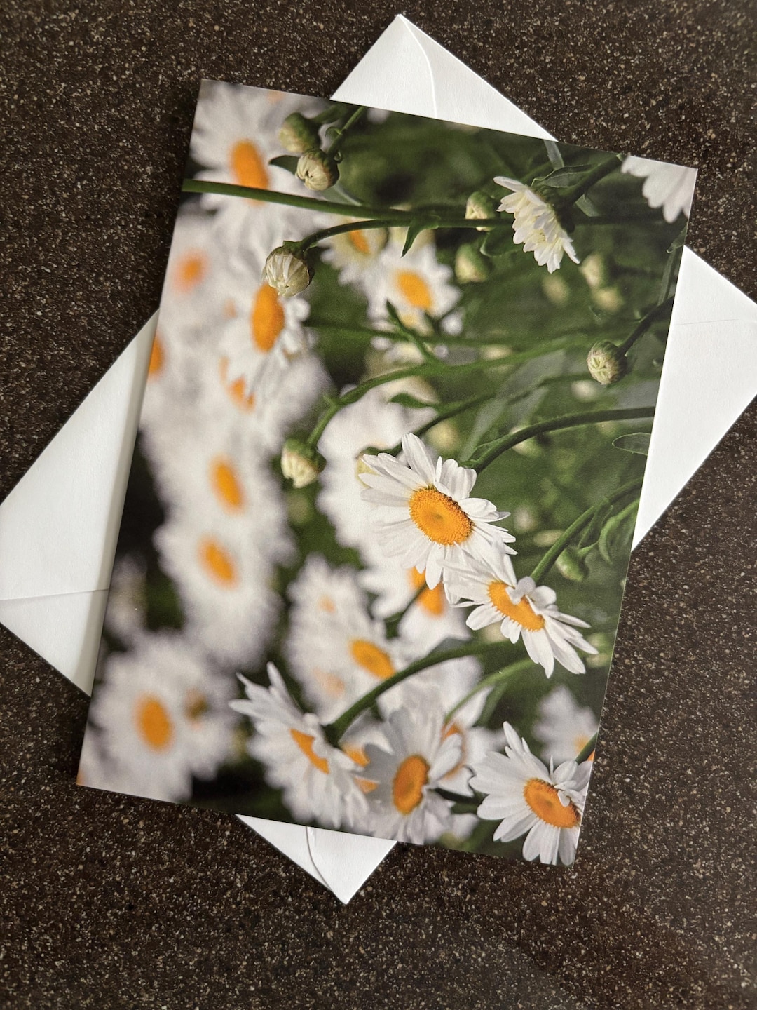 Blank Note Card, Field of Daisies - Etsy