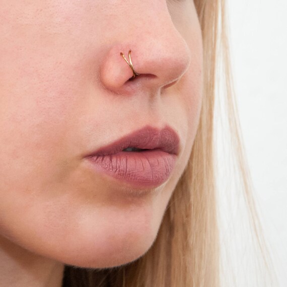 double nose ring