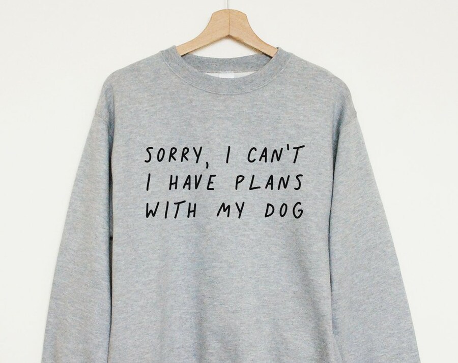 ‘I have plans with my dog’ Unisex Lightweight Hooded Sweatshirt